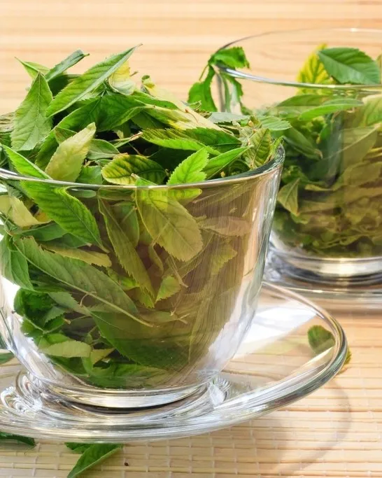 چای سبز